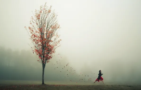 Picture autumn, leaves, girl, fog, tree