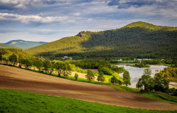 Picture trees, mountains, river, field, Norway, houses, forest, meadows, Dovre