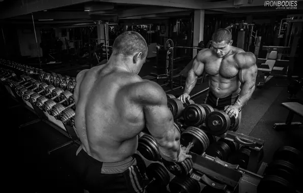 Wallpaper Bodybuilding, Gym, Lesukov images for desktop, section спорт -  download