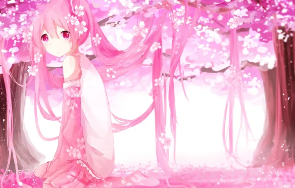 Picture girl, trees, flowers, anime, petals, Sakura, art, vocaloid, sakura, mike