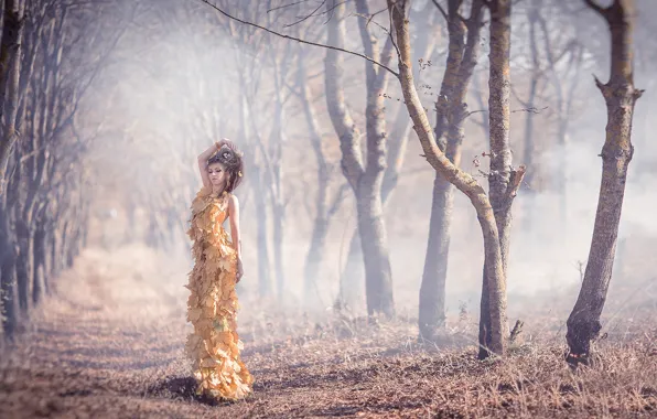 Picture autumn, leaves, girl, dress, Dress of autumn leaves