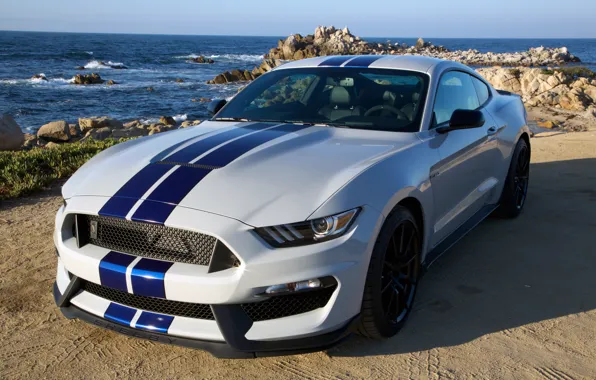 Picture Mustang, Ford, Shelby, Mustang, Ford, GT350, 2015