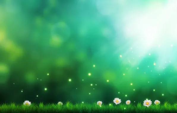Picture grass, flowers, figure, chamomile, art, sparks, green background