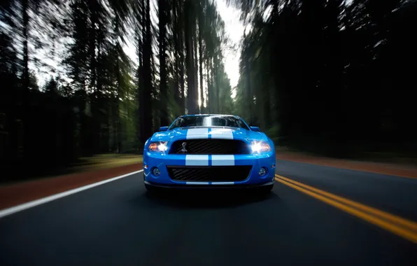Picture road, auto, forest, movement, Wallpaper, speed, track, Mustang, Ford, Shelby, GT500