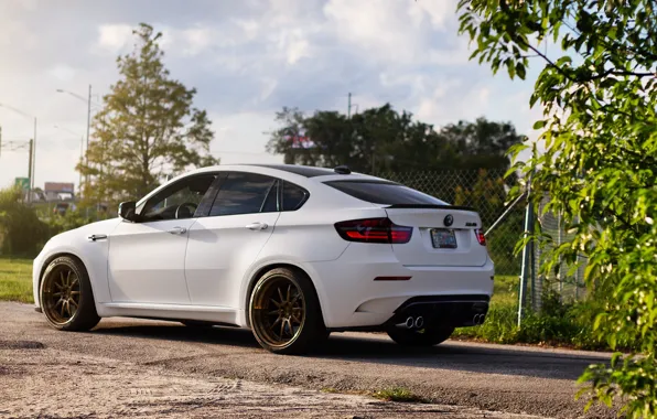 Picture road, white, bmw, BMW, the fence, white, rear view, x6m, e71