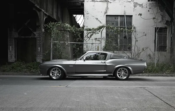 Picture GT500, Ford Mustang, Shelby Eleanor, Ford Mustang