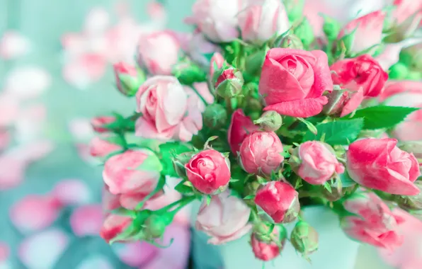 Picture roses, bouquet, buds, bokeh