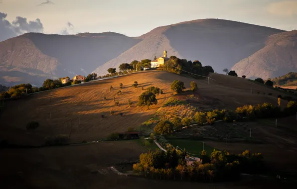 Picture trees, hills, field, home, Italy