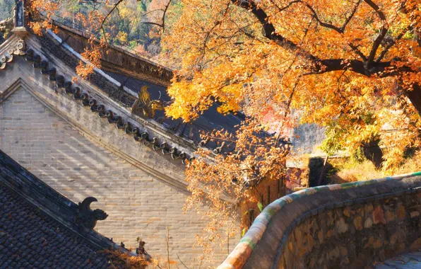 Picture roof, autumn, house, China, Beijing