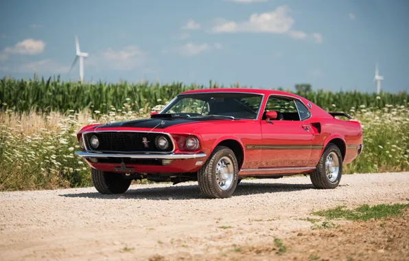 Picture Mustang, Ford, Mustang, 1969, Ford