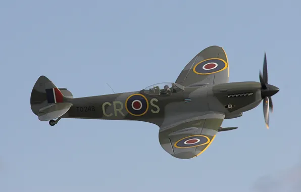 Picture Supermarine Spitfire, RAF, Supermarine Spitfire, English fighter of the Second world war
