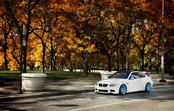 Picture autumn, white, trees, BMW, BMW, white, E92, IND