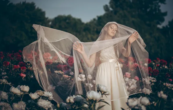 Picture flowers, mood, the bride, veil, peonies, wedding dress