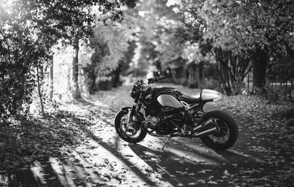 Picture road, autumn, leaves, the sun, trees, BMW, motorcycle