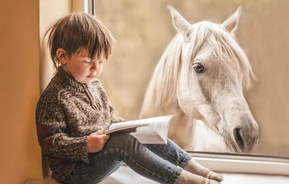 Picture horse, boy, window, book