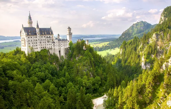 Picture forest, mountains, Germany, Bayern, panorama, Germany, Bavaria, Neuschwanstein Castle, Neuschwanstein Castle