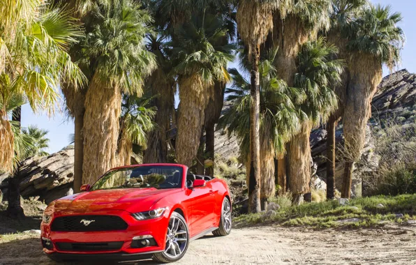 Picture Mustang, Ford, Mustang, Ford, Convertible, 2014