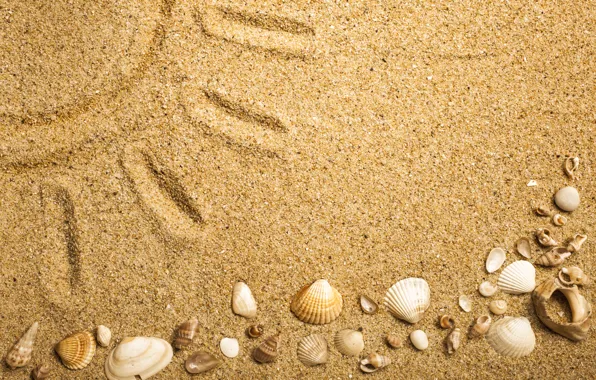 Picture beach, texture, sand, marine, seashells, sand seashells