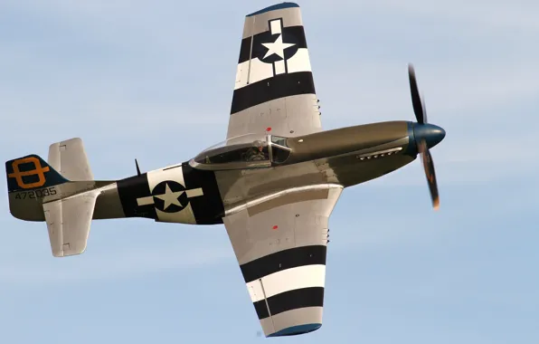 Picture Mustang, fighter, P-51D, single