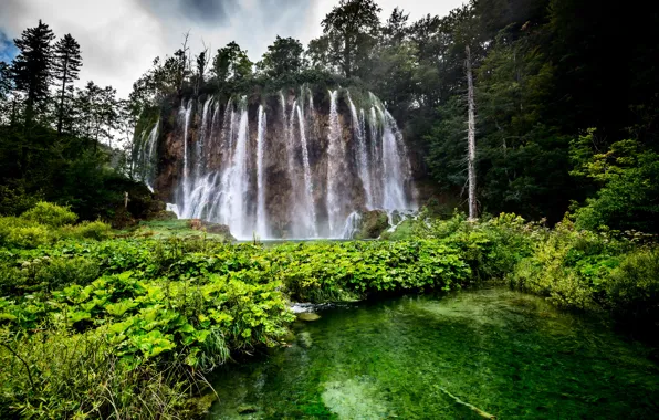 Picture forest, trees, rock, lake, waterfall, Croatia, Plitvice Lakes National Park