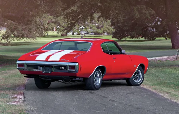 Picture road, trees, red, coupe, Chevrolet, Chevrolet, rear view, Coupe, 1970, 454, Chevelle, Muscle car, Hardtop, …