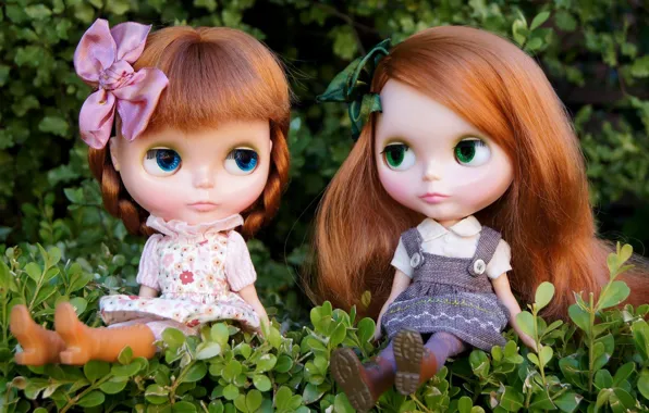 Picture nature, girls, toys, doll, red, sitting