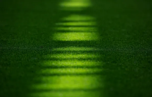 Picture field, grass, macro, lawn, stadium, Emirates, Stadium, Emirates