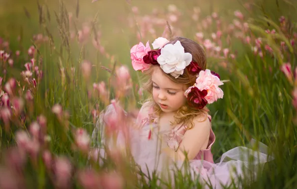 Picture flowers, mood, meadow, girl, wreath