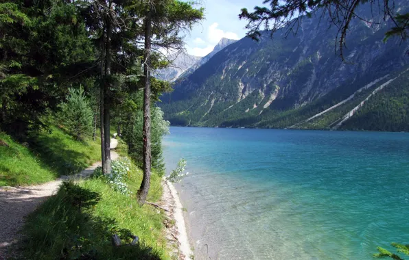 Picture grass, water, trees, lake, shore, mountain, trail
