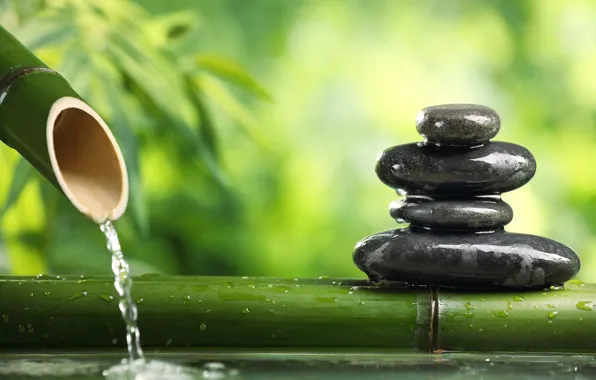 Picture water, stones, stems, calm, bamboo, blur, green, harmony, black, bokeh, balance, flat, wallpaper., evergreen