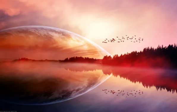 Picture Lake, Planet, Birds, Red, Nature, Planets, Birds