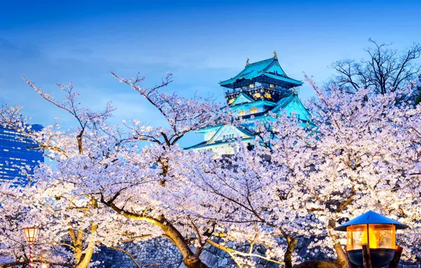 Picture house, spring, Japan, Sakura, temple, flowering, Osaka