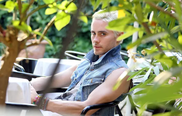 Picture leaves, musician, table, Jared Leto, Jared Leto, blonde, painted