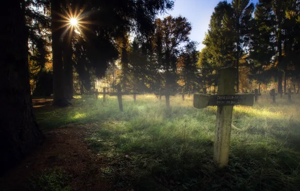 Picture light, cross, morning, cemetery