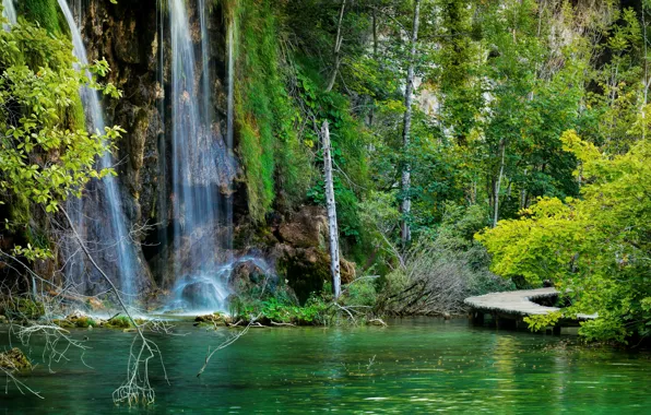 Picture forest, lake, stones, rocks, waterfall, bridges, Croatia, Plitvice Lakes National Park