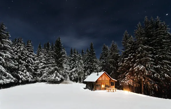Picture winter, forest, the sky, stars, light, snow, trees, night, house, hut, the edge