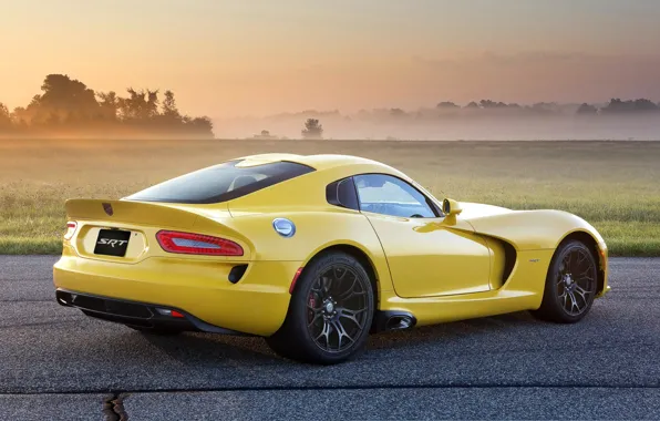 Picture field, yellow, fog, Dodge, Dodge, supercar, drives, Viper, rear view, GTS, Viper, SRT