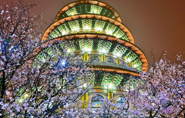 Picture trees, night, lights, the building, spring, backlight, blooming