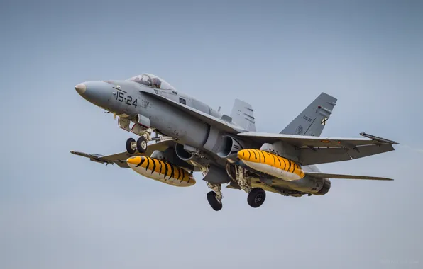Picture fighter, the rise, F/A-18, Hornet, deck, McDonnell Douglas