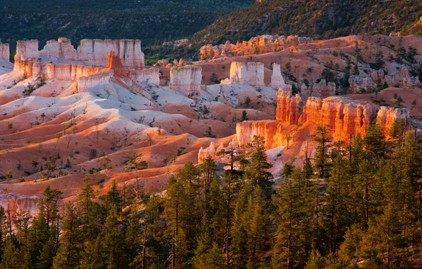 Picture trees, sunset, mountains, rocks, Utah, USA, Bryce Canyon National Park