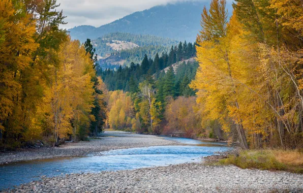 Picture autumn, forest, mountains, river, USA, Washington
