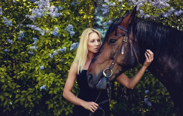 Picture girl, foliage, horse, portrait, garden, dress, blonde, the bushes, lilac, in black