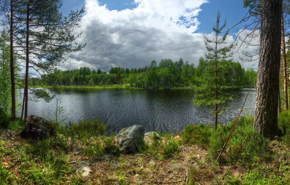 Picture forest, grass, clouds, trees, stones, island, Russia, rod, Lake Ladoga, Karelia, Karelia, Lake Ladoga, Kilpola, …