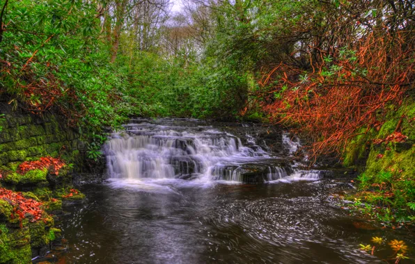 Picture trees, stream, England, waterfall, moss, hdr, cascade, the bushes, thresholds, Lancashire, Upper Anglezarke waterfall