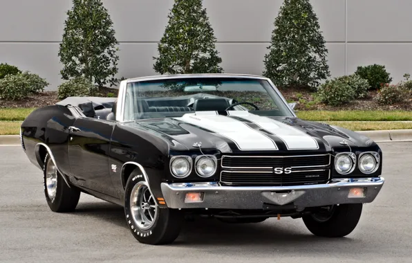 Picture car, strip, Chevrolet, muscle, 1970, the front, 454, Chevelle, Convertible, LS6