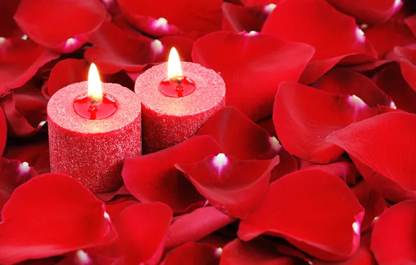 Picture love, heart, roses, candles, petals, love, heart, romantic, Valentine's Day