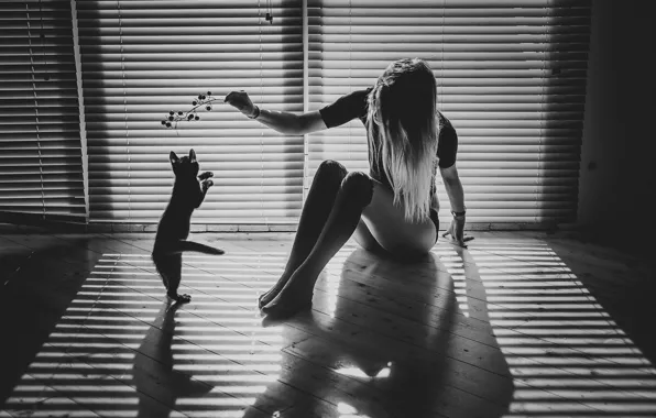Picture cat, girl, light, sprig, room, the game, shadows, monochrome