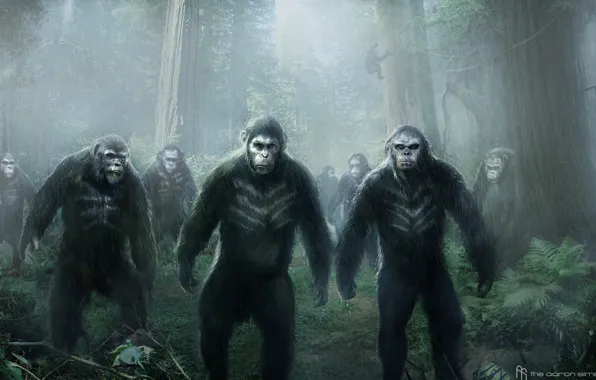 Picture monkey, Caesar, Caesar, Planet of the apes: the Revolution, Dawn of the Planet of the …