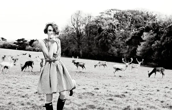 Picture field, Keira Knightley, deer, Vogue
