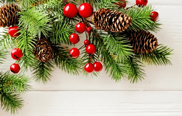Picture branches, berries, background, holiday, New year, needles, bumps